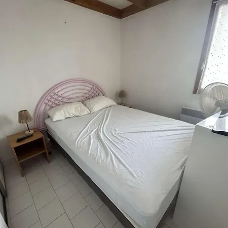 Appt T3 Avec Piscine Proche Au Cap D'agde - Fr-1-249-465 *
